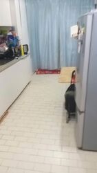 Blk 109 Potong Pasir Avenue 1 (Toa Payoh), HDB 4 Rooms #561597551